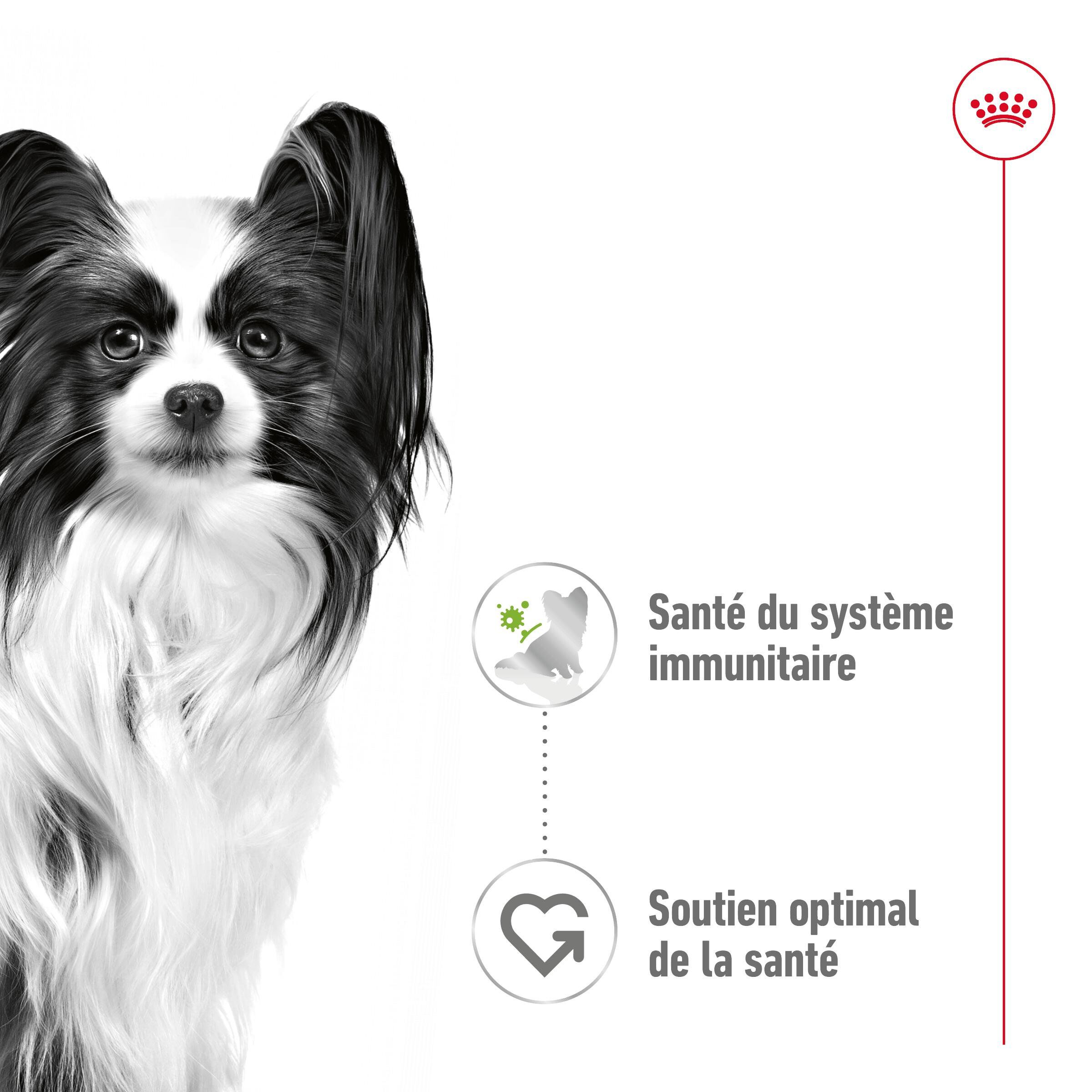 Royal Canin - Sachets Humides en Sauce X-Small Adult - 12x85g Image num&eacute;ro 4