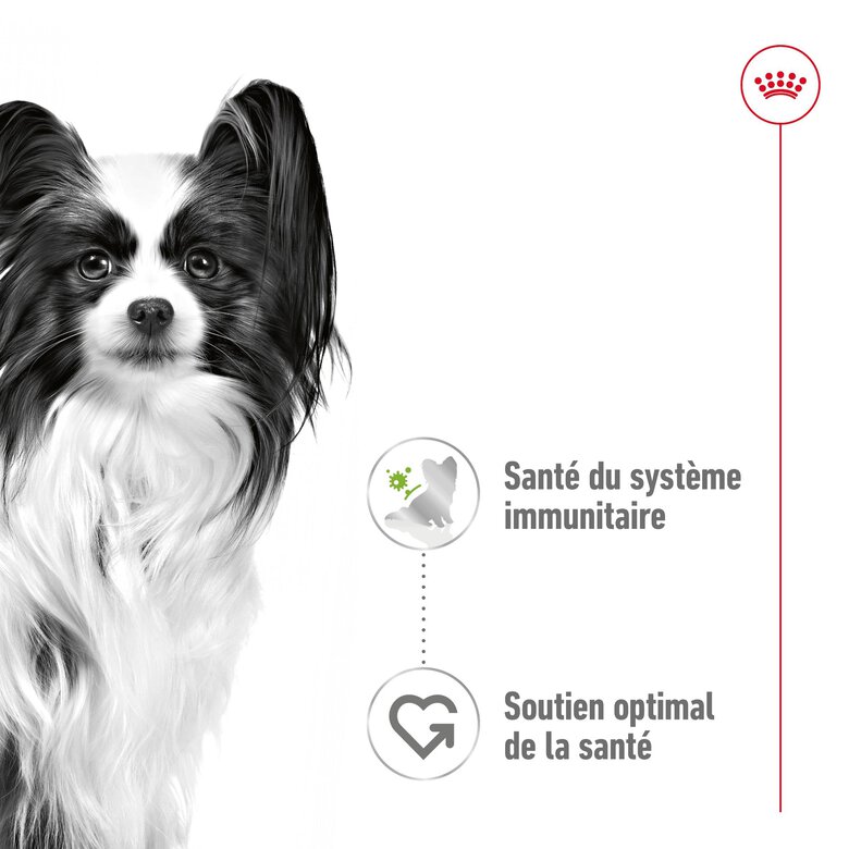 Royal Canin - Sachets Humides en Sauce X-Small Adult - 12x85g Image numéro 4 Royal Canin - Sachets Humides en Sauce X-Small Adult - 12x85g Image numéro 4