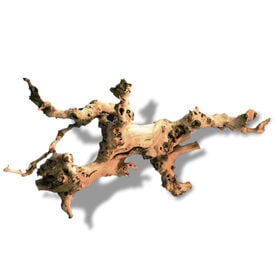 Amtra - D&eacute;coration Racine de Vigne pour Terrarium - M