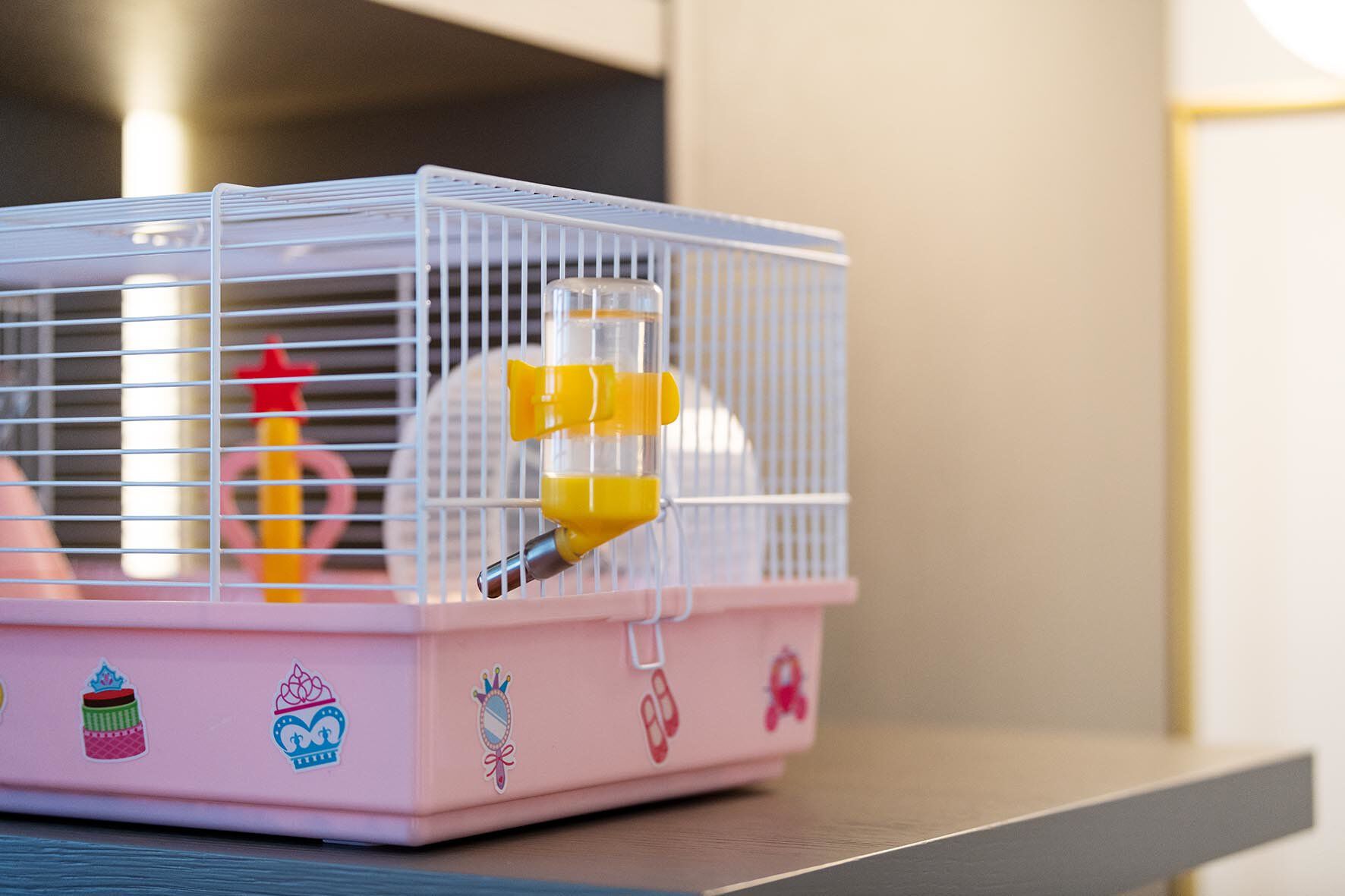 Ferplast - Cage Criceti 9 Princesse pour Hamsters Image num&eacute;ro 9