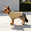 Gotoo - Pull Torsades Beige pour Chiens - 20cm Indicateur image num&eacute;ro 12
