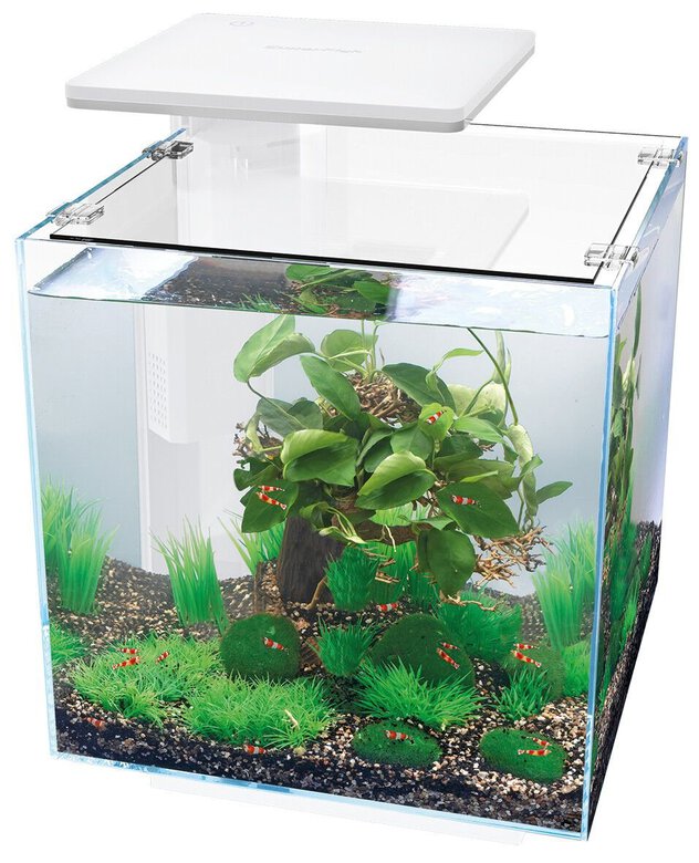 Superfish - Aquarium Equipé Qubiq Pro 30 pour Poisson - Blanc Image numéro 2 Superfish - Aquarium Equipé Qubiq Pro 30 pour Poisson - Blanc Image numéro 2