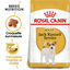 Royal Canin - Croquettes Jack Russell Adult pour Chiens - 1,5Kg Indicateur image numéro 1