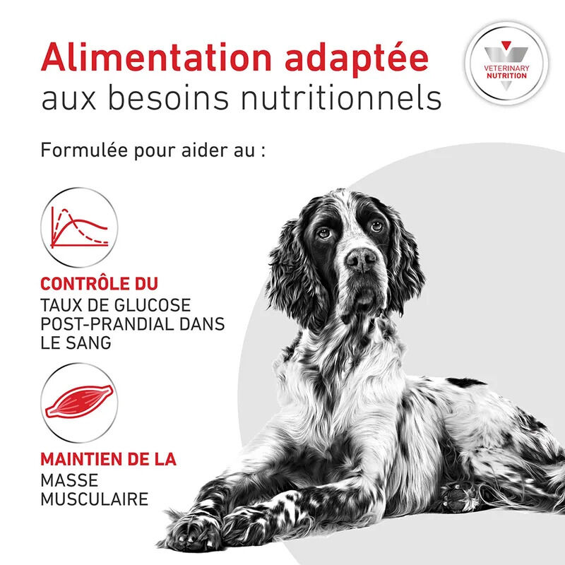 Royal Canin - Croquettes Veterinary Glycobalance Diabetic pour Chien - 12Kg Image num&eacute;ro 10