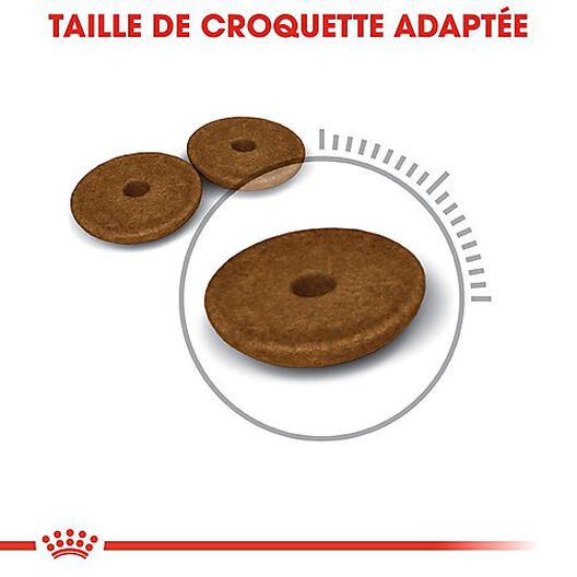 Royal Canin - Croquettes Digestive Care pour Chat - 2Kg image number null