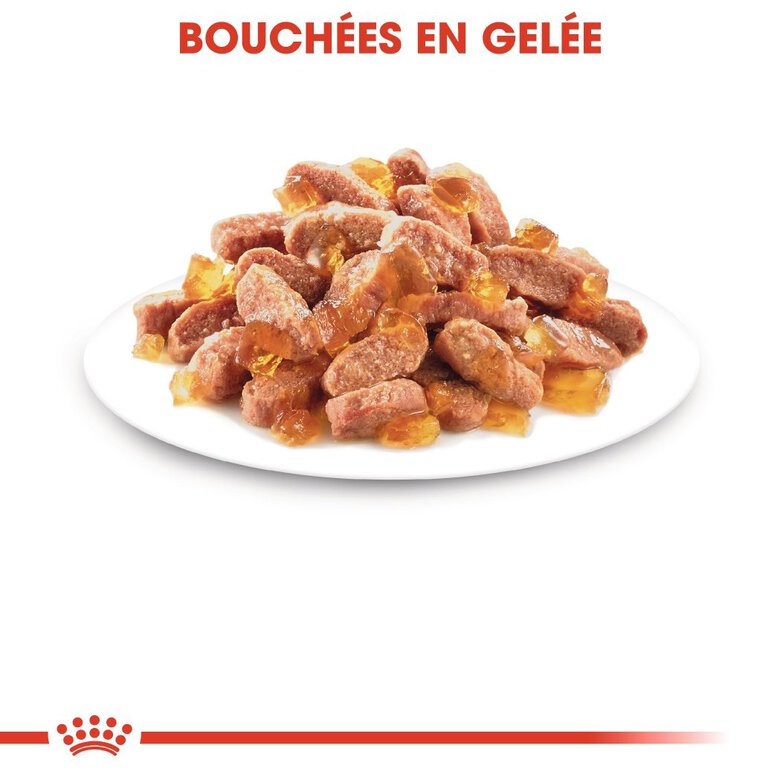 Royal Canin - Sachets Kitten Sterilised en Gelée pour Chaton - 12x85g Image numéro 5 Royal Canin - Sachets Kitten Sterilised en Gelée pour Chaton - 12x85g Image numéro 5