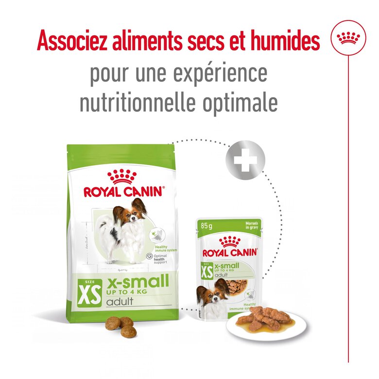Royal Canin -  Croquettes X SMALL ADULT CHIEN DE TRES PETITE TAILLE - 500G Image numéro 3 Royal Canin -  Croquettes X SMALL ADULT CHIEN DE TRES PETITE TAILLE - 500G Image numéro 3