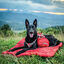 Kurgo - Plaid De Camping pour Chiens - M Indicateur image numéro 3