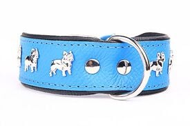 Yogipet - Collier Bouledogue Français Cuir pour Chien Bleu