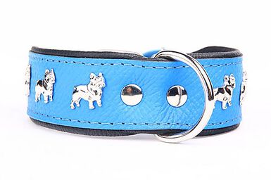 Yogipet - Collier Bouledogue Français Cuir pour Chien Bleu