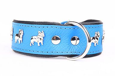 Yogipet - Collier Bouledogue Français Cuir pour Chien - Bleu