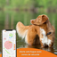 Weenect - Traceur GPS L/XL Edition 2023 pour Chiens - Noir Indicateur image numéro 7