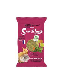 Hamiform - Snack Palet l'Authentique pour Rongeur - 50g