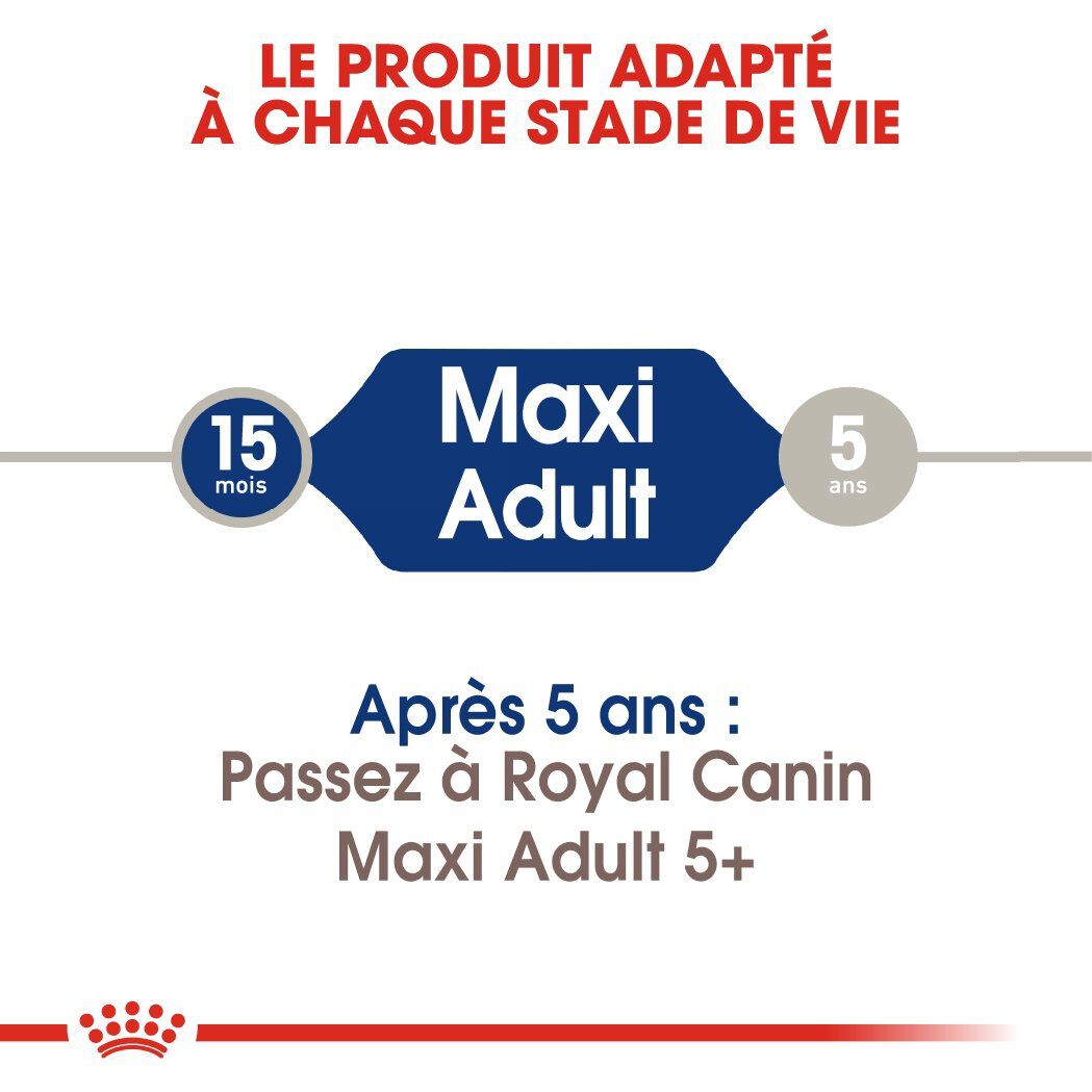 Royal Canin - Croquettes Maxi Adult pour Chien - 15Kg Image num&eacute;ro 3