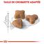 Royal Canin - Croquettes Sensible 33 pour Chat Adulte - 10Kg Indicateur image numéro 4