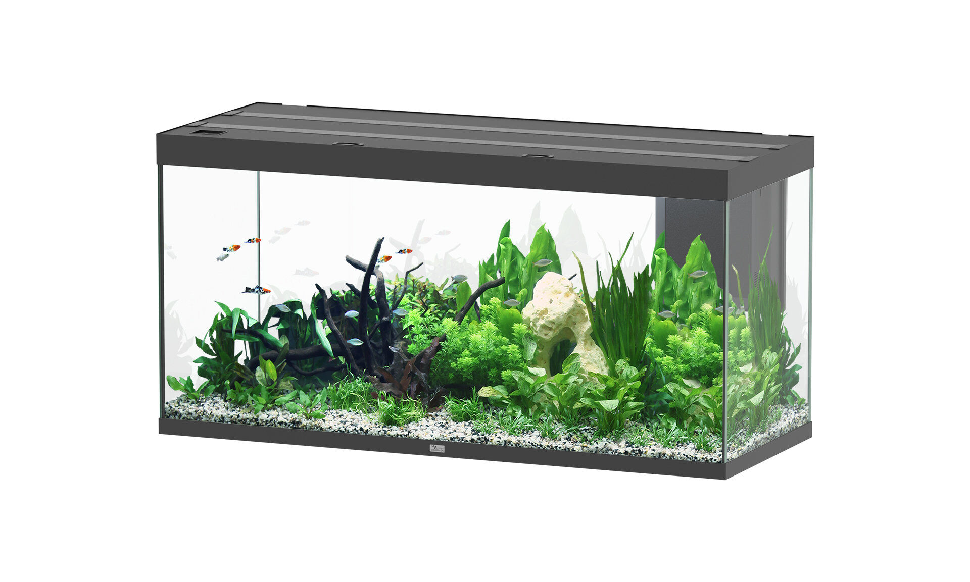 Aquatlantis - Aquarium SUBLIME ULTRA 150x60 LED RGBW 545L - Noir Image num&eacute;ro 1