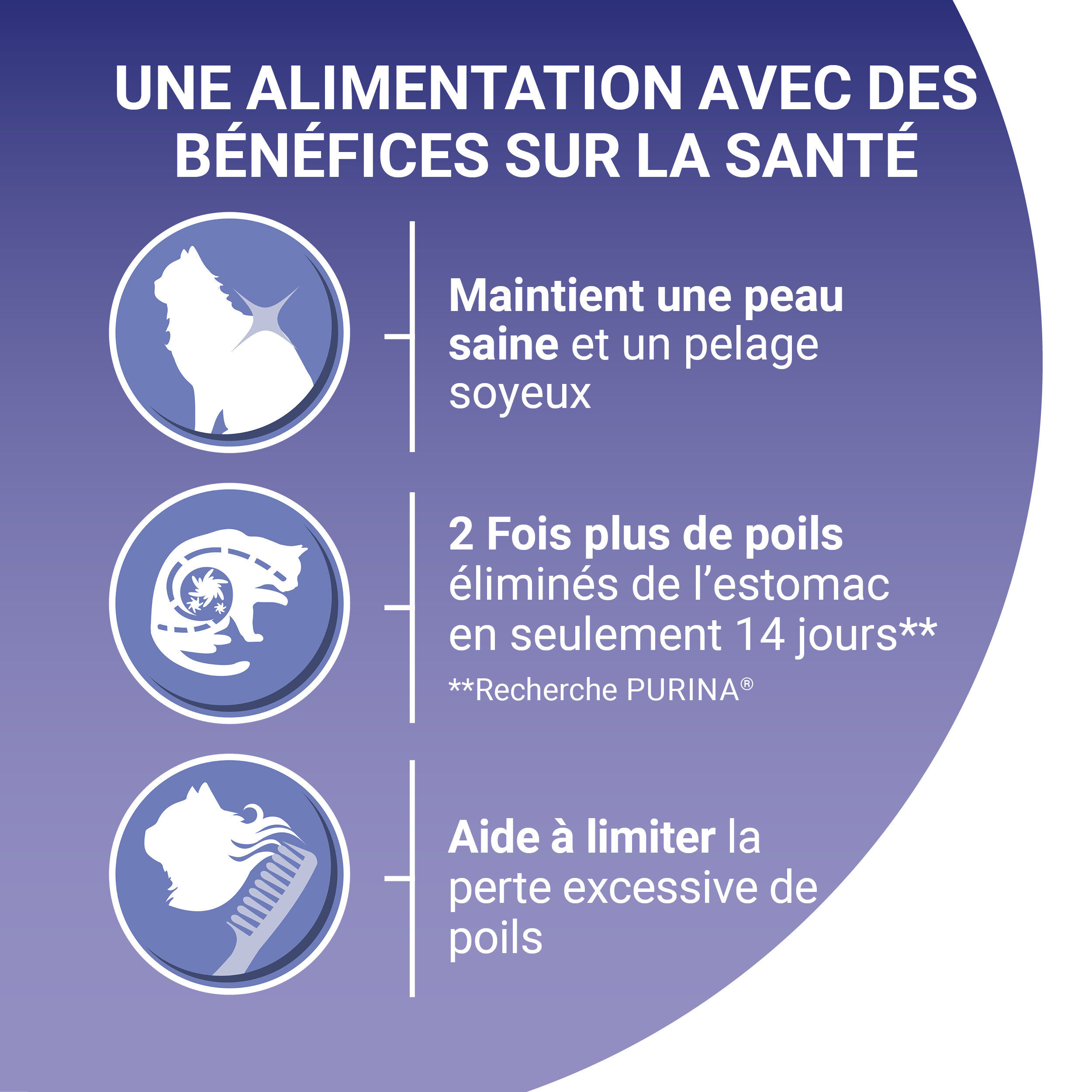 Purina One - Croquettes au Poulet et C&eacute;r&eacute;ales Sp&eacute;cial Pelage et Boules de Poils pour Chat Adulte - 1,5Kg Image num&eacute;ro 8