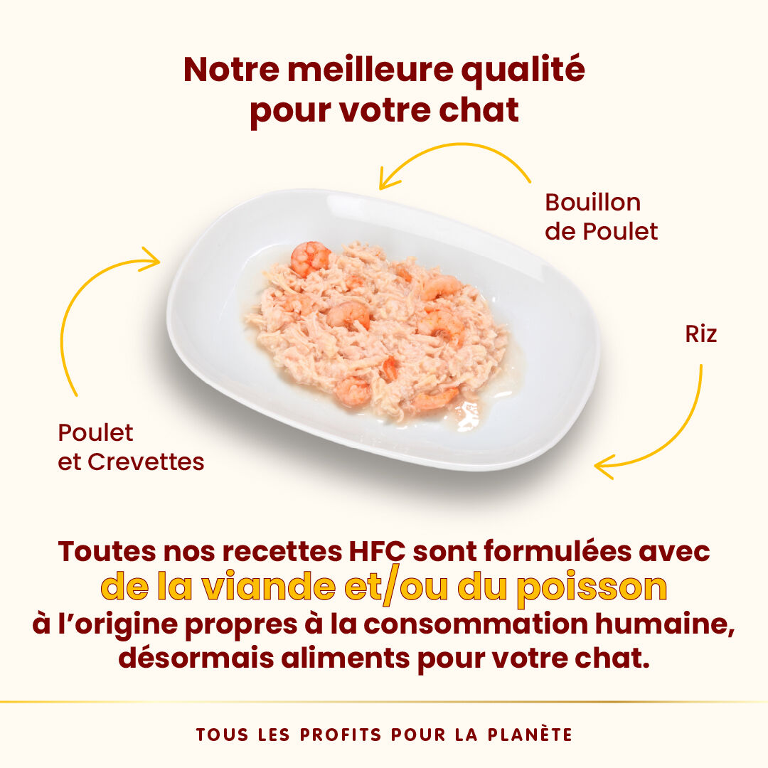Almo Nature - P&acirc;t&eacute;e en Bo&icirc;te HFC Natural Poulet et Crevettes pour Chat - 70g Image num&eacute;ro 3