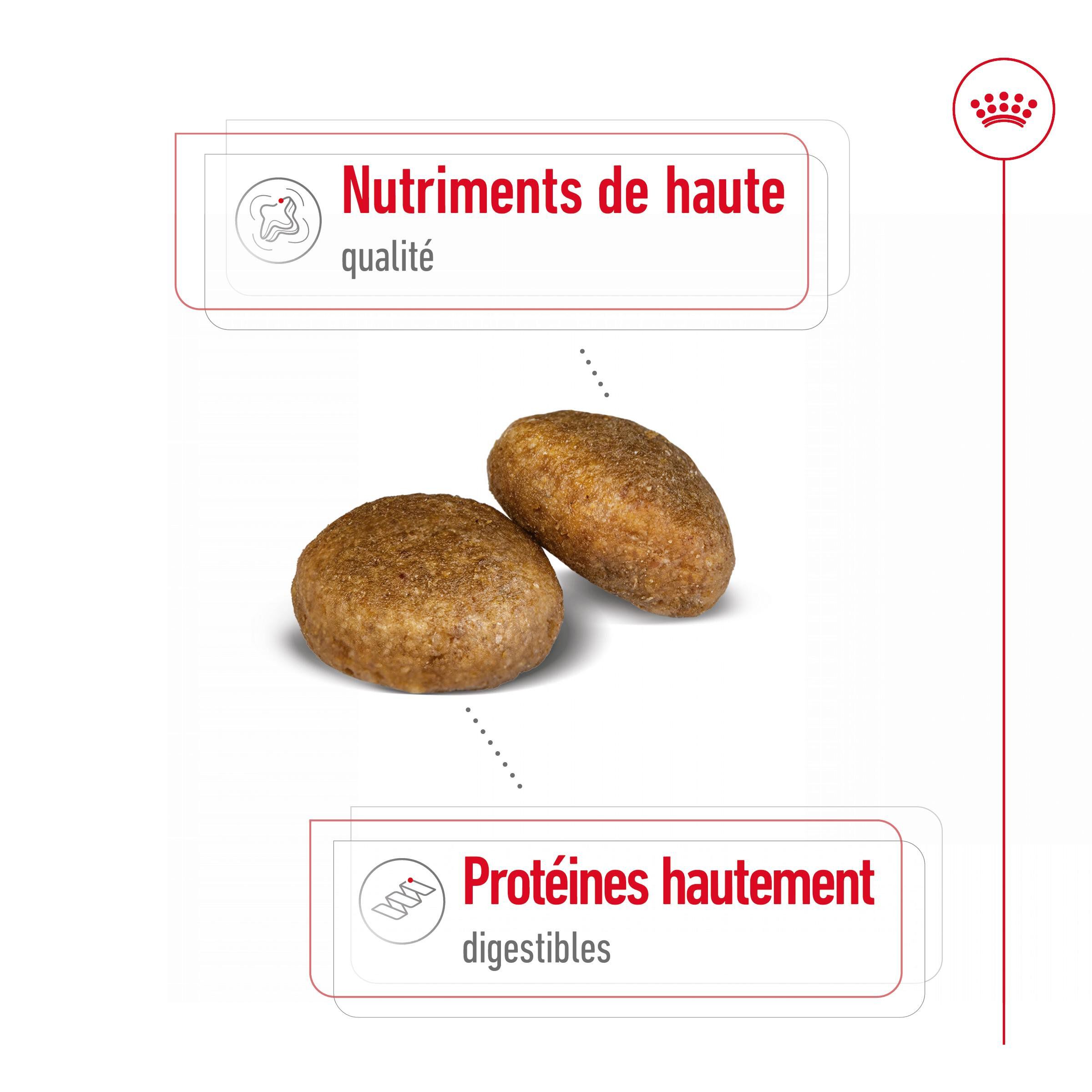 Royal Canin - Croquettes Maxi Adult pour Chiens de Grande Taille - 4Kg Image num&eacute;ro 2