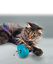 KONG - Jouet Distributeur Tippin pour Chat Indicateur image numéro 2
