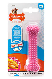 Nylabone - Jouet à Mâcher Puppy Dental Bone XS