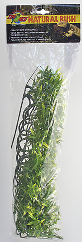 Zoomed - Plante Bolivian pour Terrarium image number null