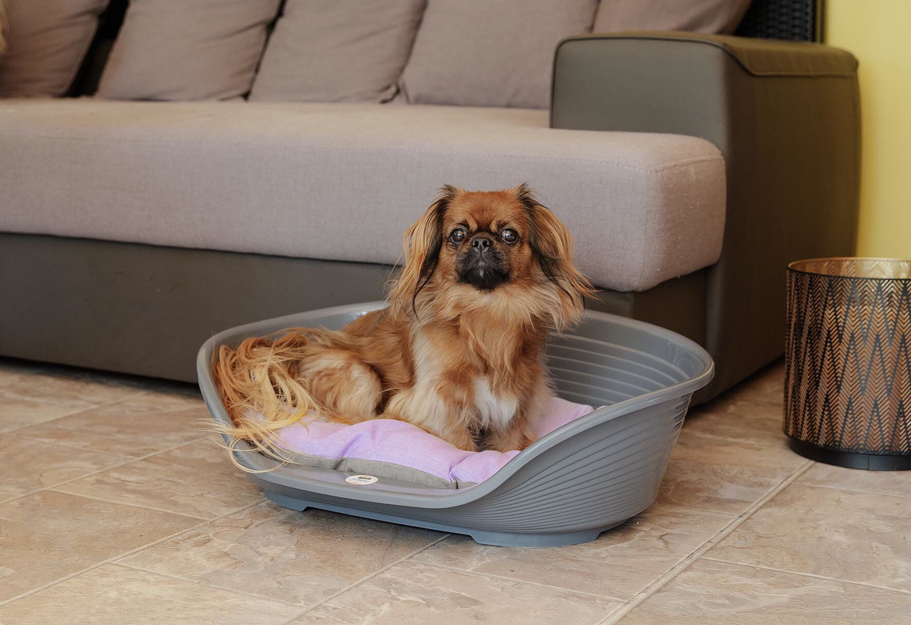 Ferplast - Corbeille Siesta Deluxe 4 Dark Grey pour Chiens Image num&eacute;ro 3