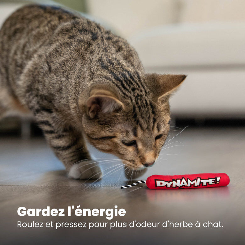 Outward Hound - Jouet Dynamite Green Magic pour Chats - Rouge Image num&eacute;ro 6