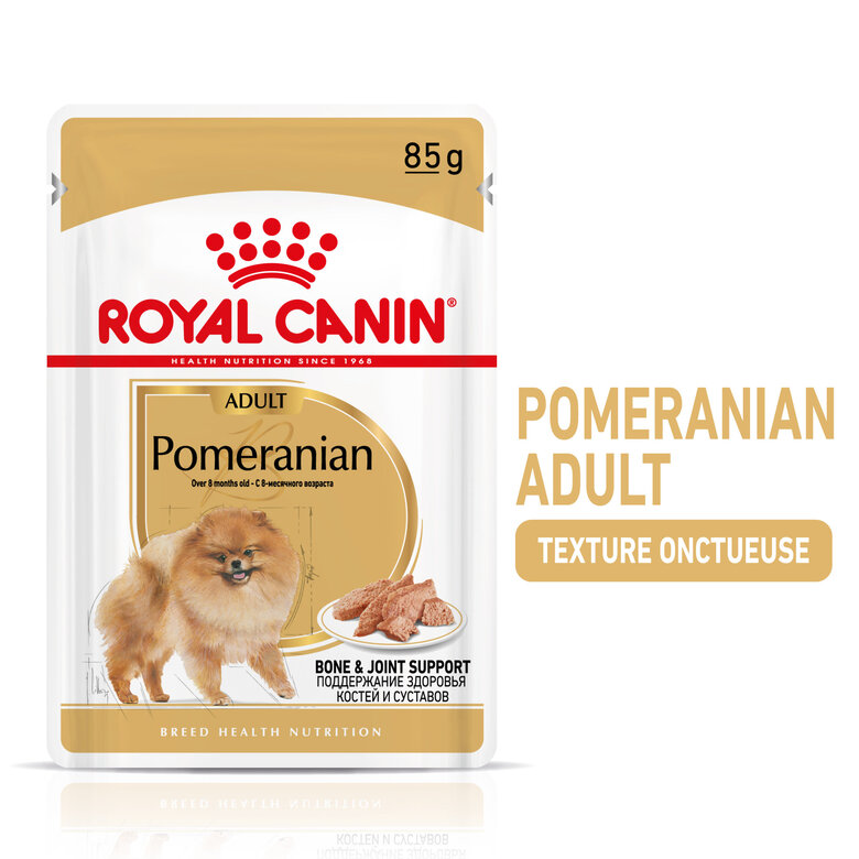 Royal Canin - Sachets Spitz Adult en Mousse pour Chien - 12x85g Image numéro 8 Royal Canin - Sachets Spitz Adult en Mousse pour Chien - 12x85g Image numéro 8
