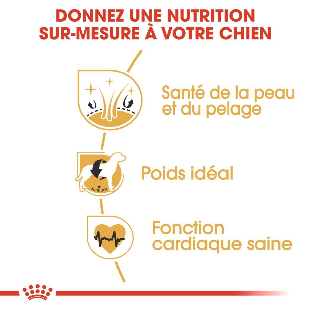 Royal Canin - Croquettes Cocker pour Chien Adulte - 3Kg Image num&eacute;ro 5