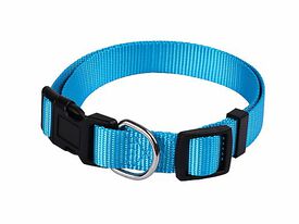 Animalis - Collier Basic pour Chien Bleu