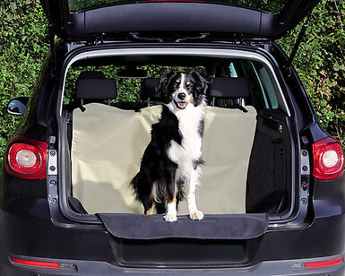 Zolux - Filet de Voiture Universel pour Chien