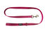 Gotoo - Laisse en Nylon Premium pour chien - Rose Indicateur image numéro 1
