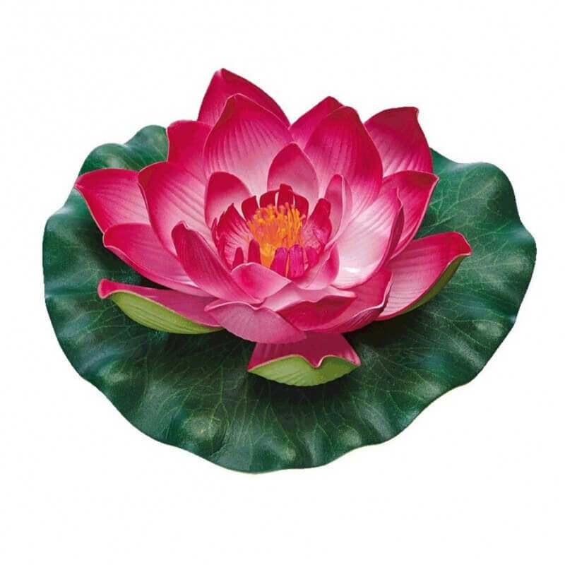 Pontec - N&eacute;nuphar PondoLily pour Bassin - Rouge Image num&eacute;ro 1