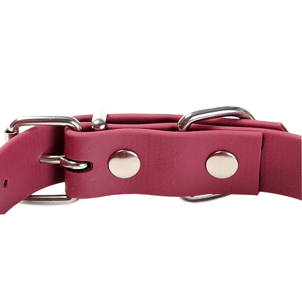 Gotoo - Collier Premium Biotane Bordeaux pour Chien - S Image num&eacute;ro 3