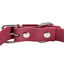 Gotoo - Collier Premium Biotane Bordeaux pour Chien - S Indicateur image numéro 3