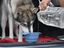 Kurgo - Bol Pliable "Collaps-A- Bowl" pour Chiens - Bleu Indicateur image numéro 3