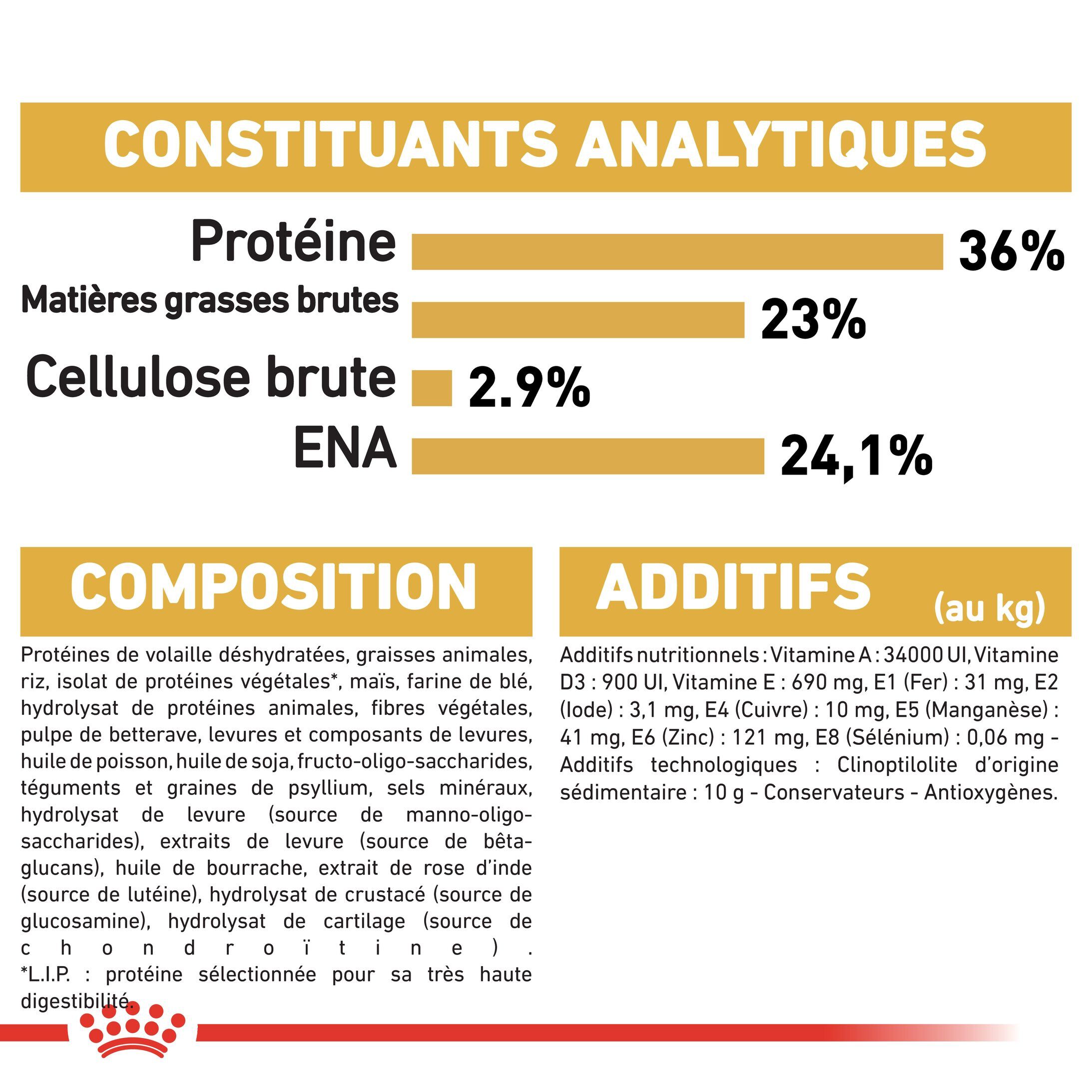 Royal Canin - Croquettes Maine Coon pour Chaton - 4Kg Image num&eacute;ro 7