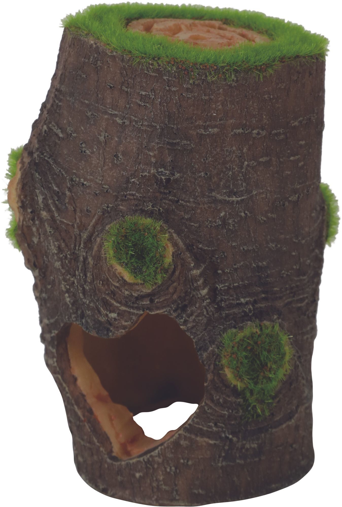 Zolux - D&eacute;coration Artificielle Tronc Kipouss pour Aquarium - PM Image num&eacute;ro 1