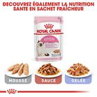 Royal Canin - Croquettes Kitten pour Chaton image number null