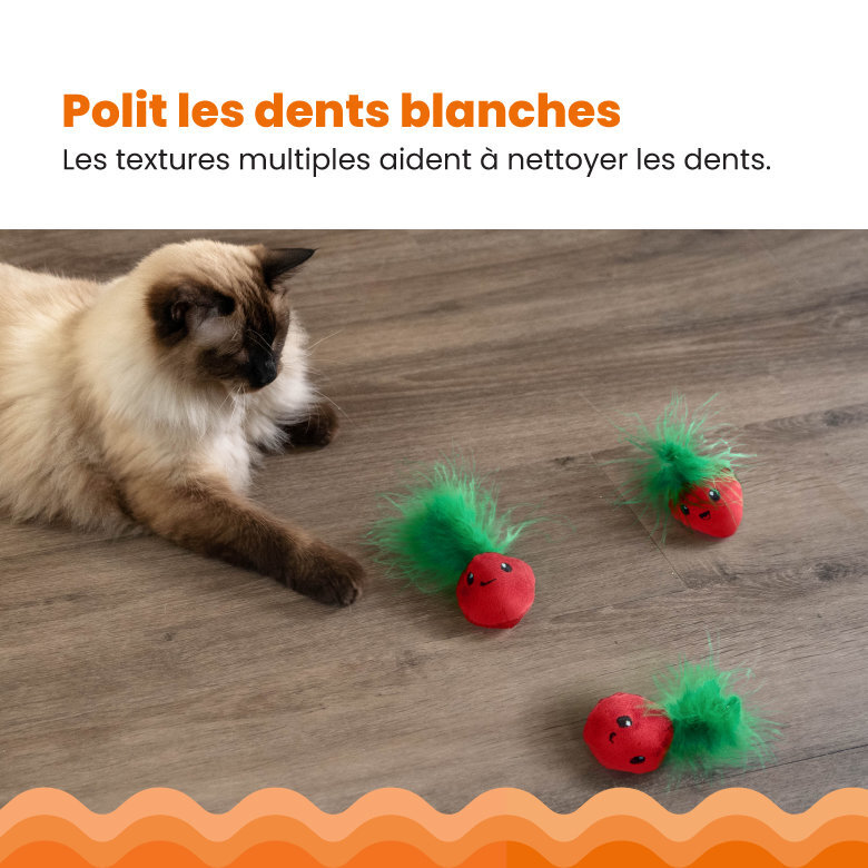 Outward Hound - Lot de 3 Jouets Straw-Babies pour Chats Image numéro 5 Outward Hound - Lot de 3 Jouets Straw-Babies pour Chats Image numéro 5