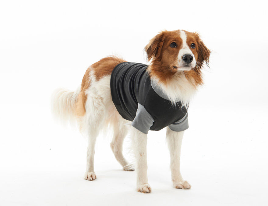 Kruuse - Body Suit Chien XXL - 74cm Image num&eacute;ro 1