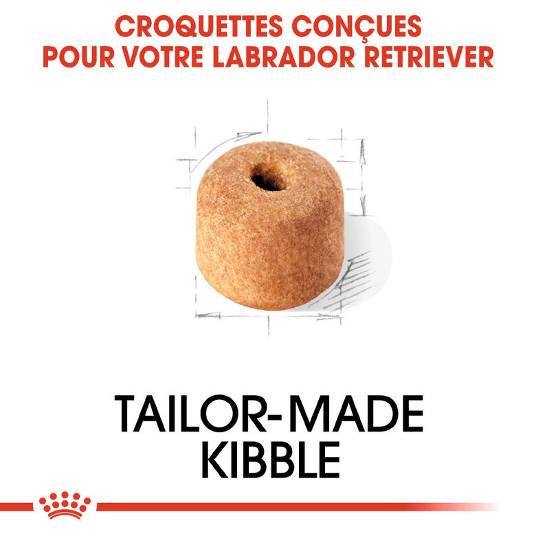 Royal Canin - Croquettes Labrador Adult pour Chiens de plus de 15 Mois - 3Kg Image numéro 3 Royal Canin - Croquettes Labrador Adult pour Chiens de plus de 15 Mois - 3Kg Image numéro 3