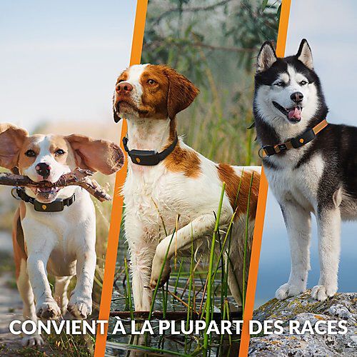 Weenect - Collier GPS XT Chiens - Noir Image num&eacute;ro 11