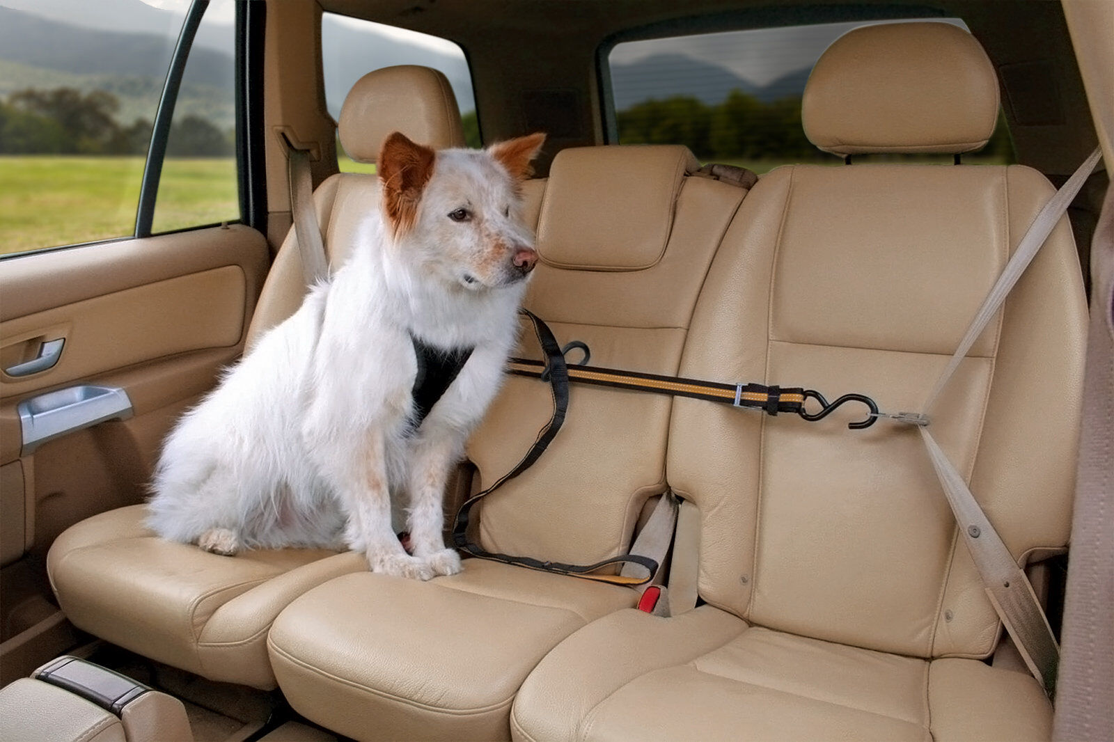 Kurgo - Tyrolienne de S&eacute;curit&eacute; ZIP LINE pour Chiens Image num&eacute;ro 6