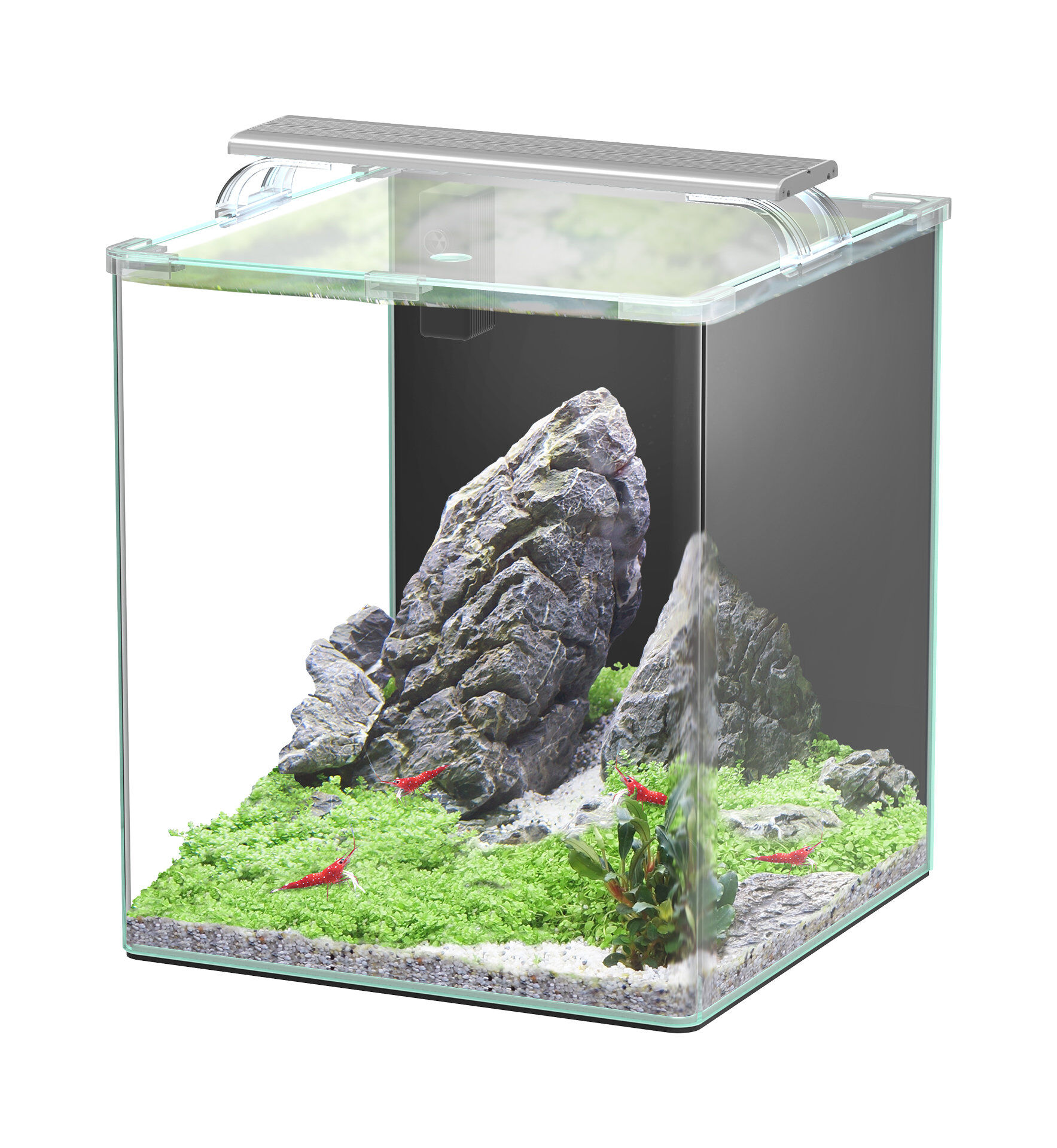 Aquatlantis - Aquarium Kubus Curve 44L - Essential Image num&eacute;ro 1