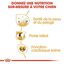 Royal Canin - Croquettes Cocker pour Chien Adulte - 12Kg Indicateur image numéro 5