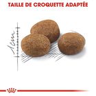 Royal Canin - Croquettes Sterilised 7+ pour Chat Senior - 400g image number null