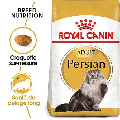 Royal Canin - Croquettes Persian pour Chat Adulte à partir de 12 Mois