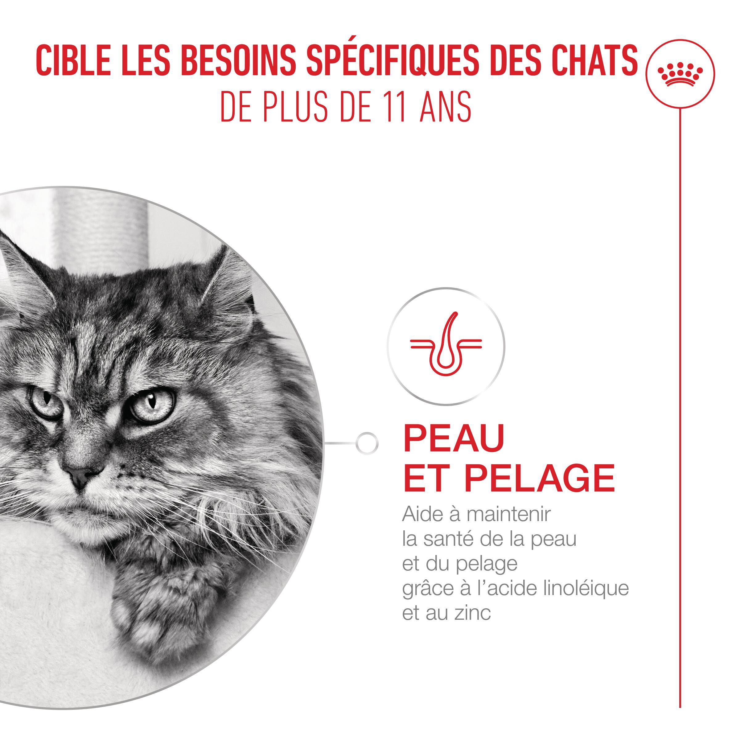 Royal Canin - P&acirc;t&eacute;e en Sauce Ageing 11+ pour Chats Senior - 12x85g Image num&eacute;ro 5